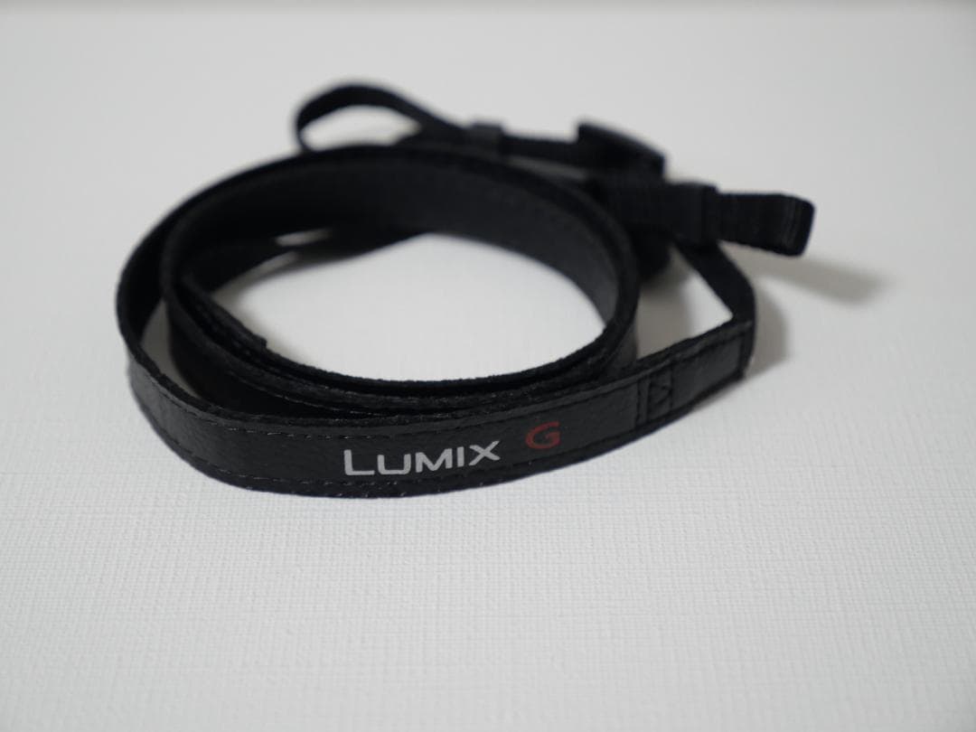 Panasonic DC-GF10 ミラーレスカメラ オレンジ