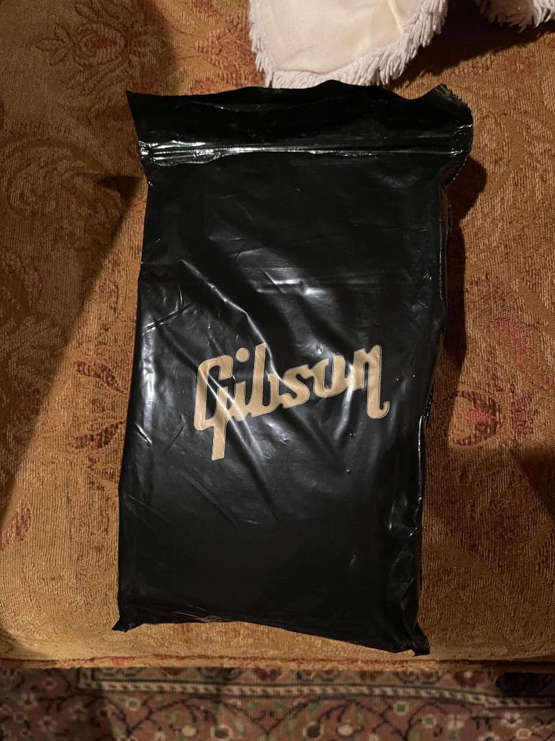 ギター Gibson Flying V Antique Natural