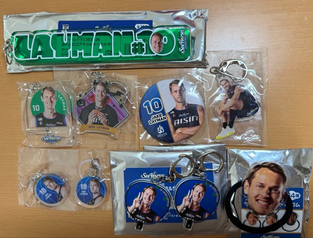 SHIGE様専用 プロレス ノア inamura OZAWA アクリルスタンド