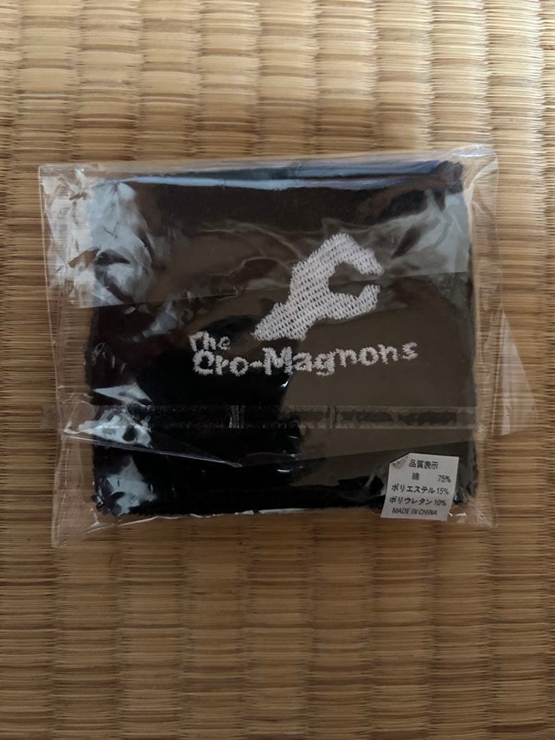 クロマニヨンズ CAVE PARTY レコード＋サイン　＋オマケ色々