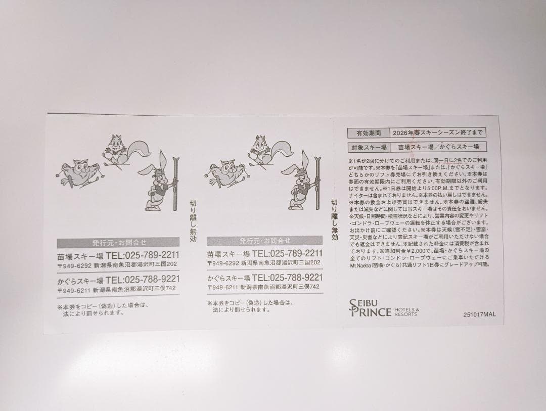 苗場・かぐらスキー場 1日引換券×2枚 - メルカリ