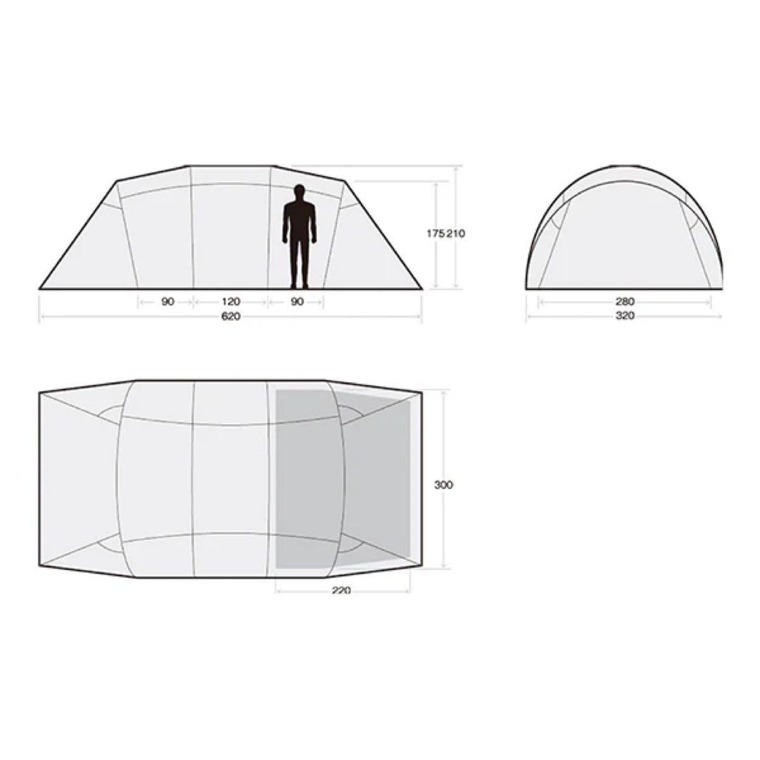 サバティカル アルニカ