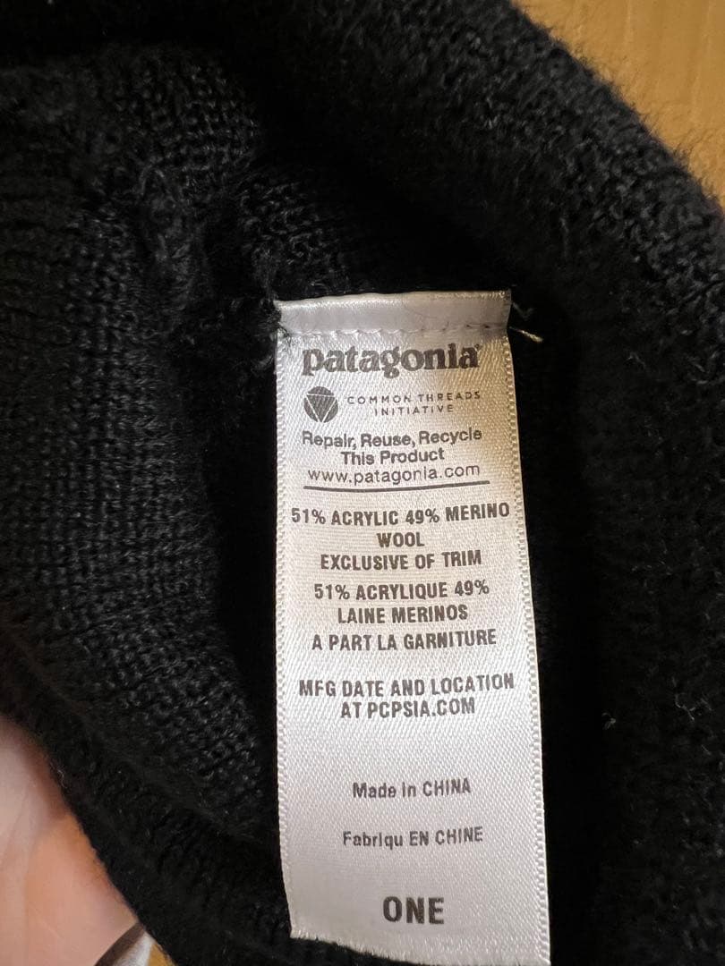 FCD フライングフィッシュビーニー patagonia 初期