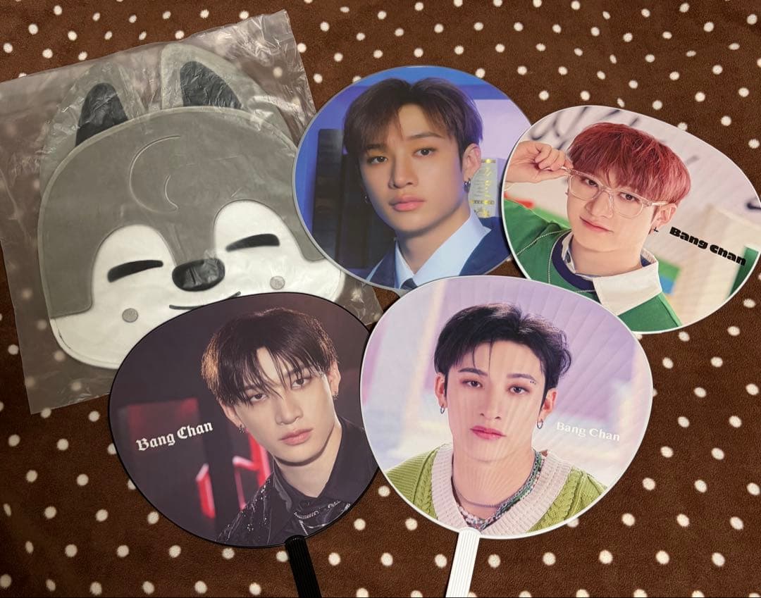 バンチャン うちわ うちわケース ウルフチャン StrayKids 中古 - メルカリ
