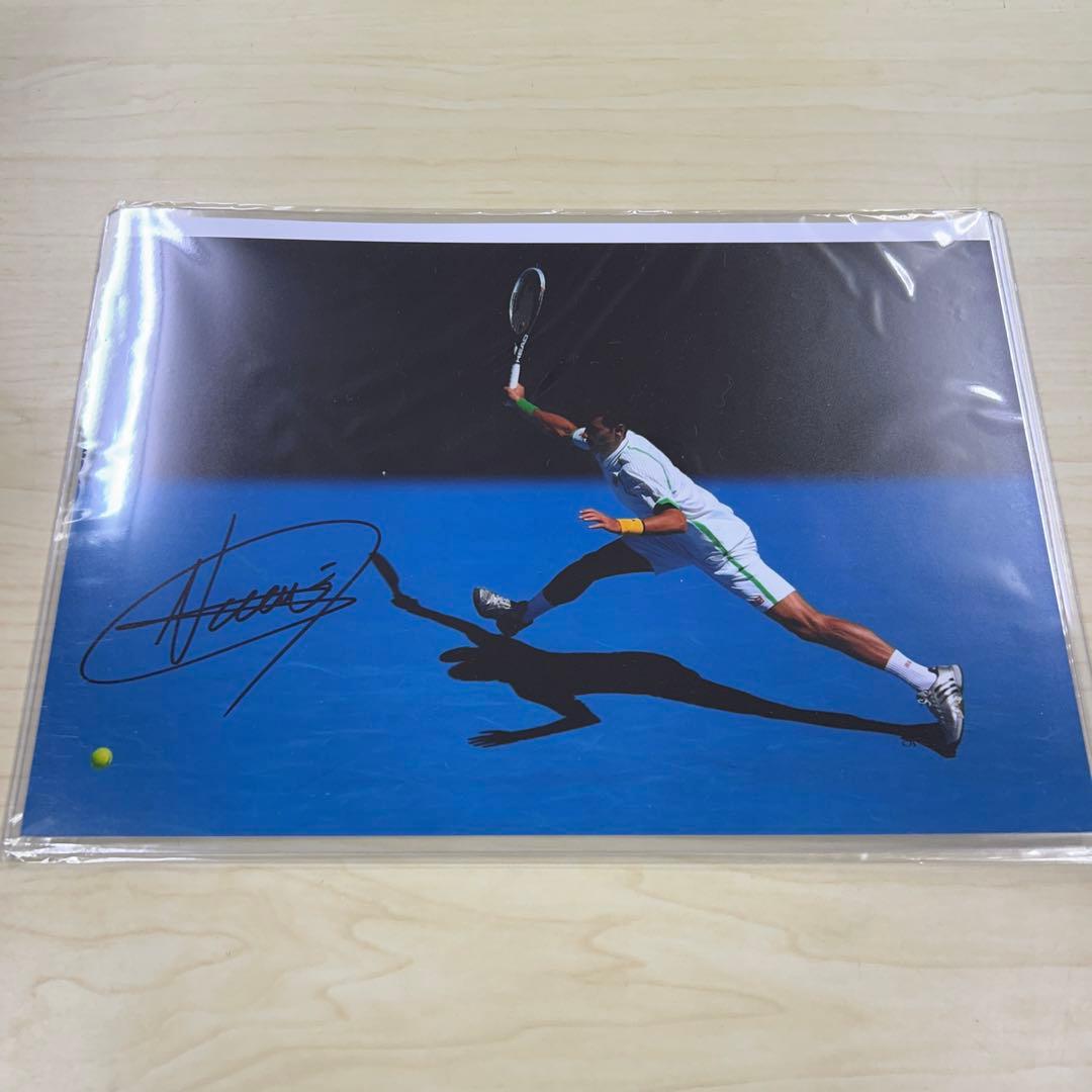 男子テニスチャンピオン証明書付ノバク・ジョコビッチ 直筆サイン入り