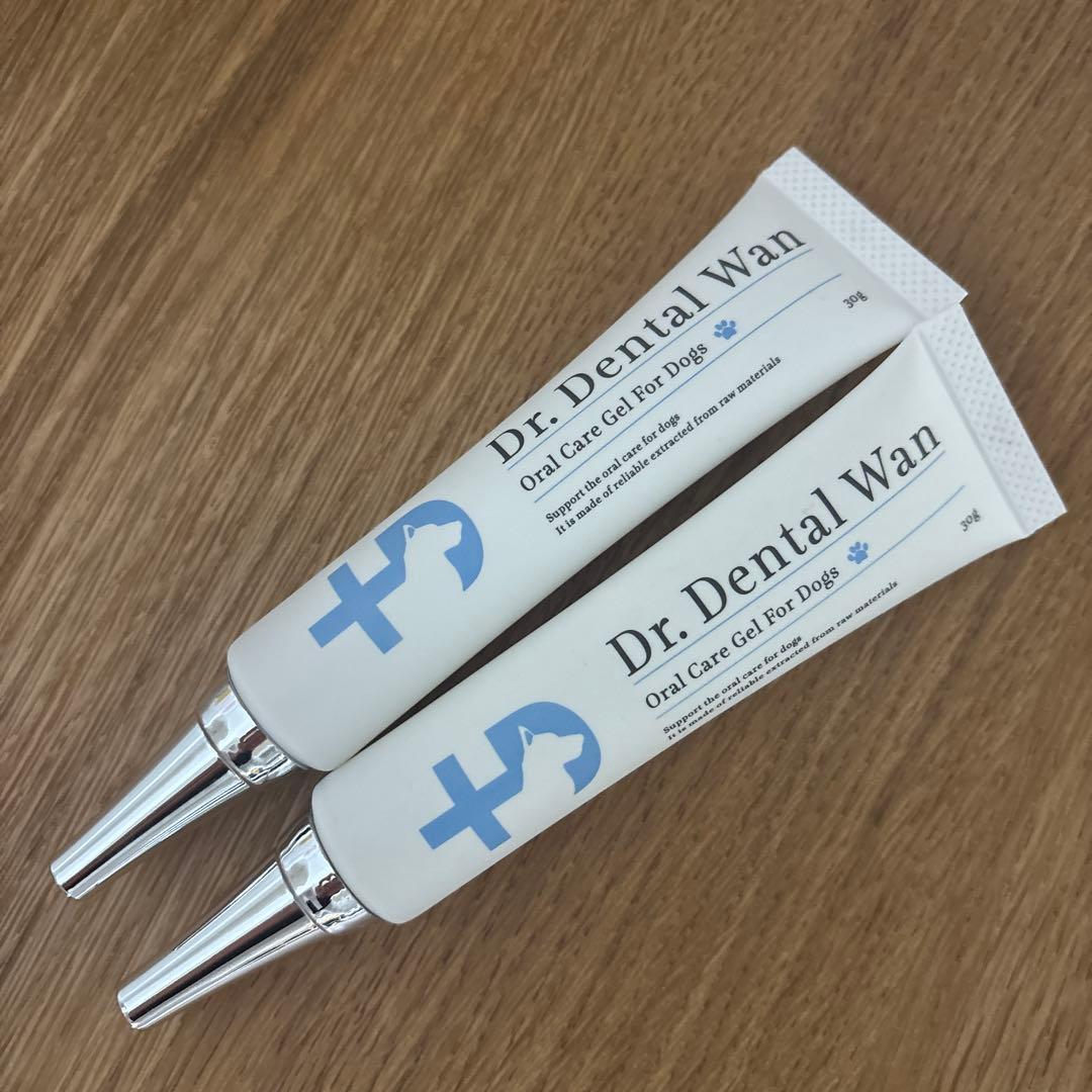 BRUNT goodandsin maconeタープ チョコチップ