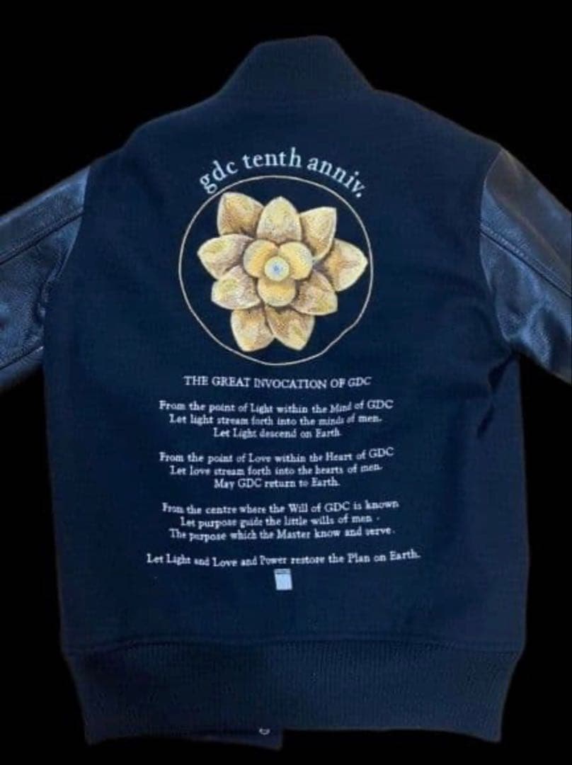 ⭐️卍丸さま専用⭐️GDC ロータススタジャン 蓮 ナンバリング有り 10