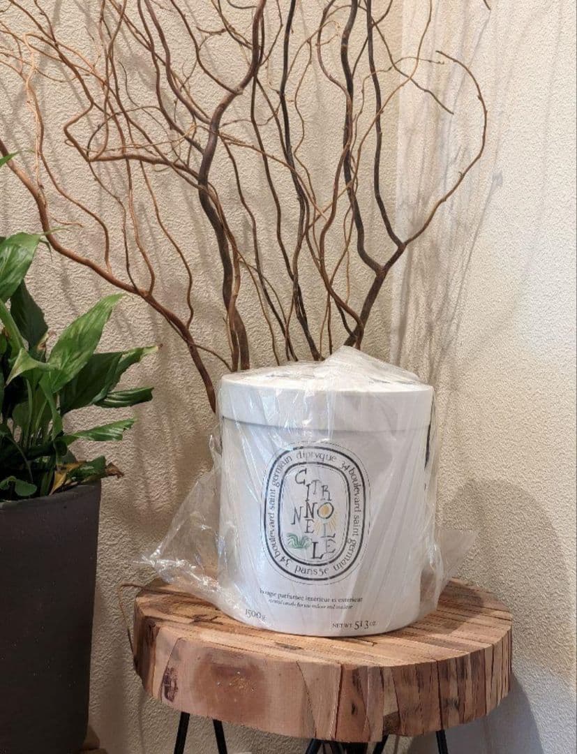 定価¥51480/新品✨ガーデンキャンドル シトロネル 1.5KG [限定版]