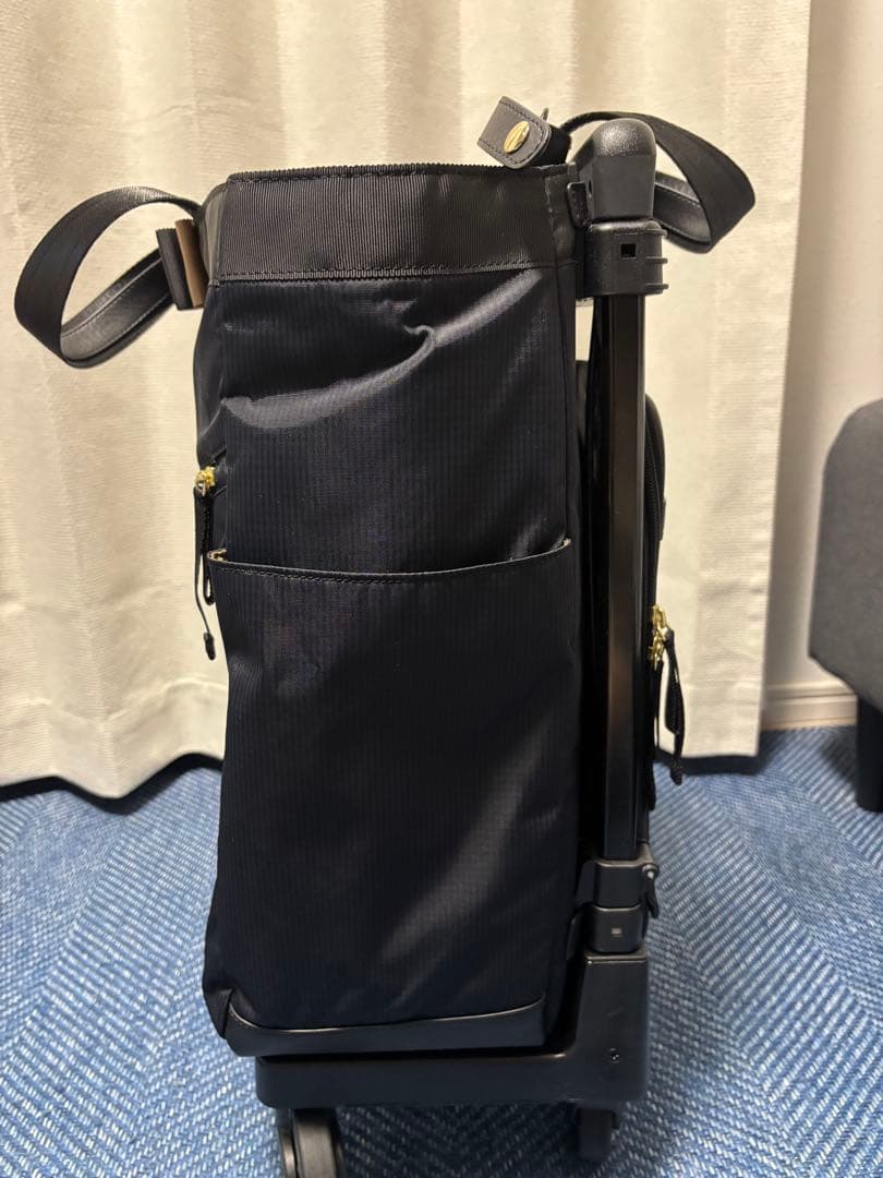 [美品] SWANY スワニー　ショッピングカート　キャリーバッグ　ルバンド