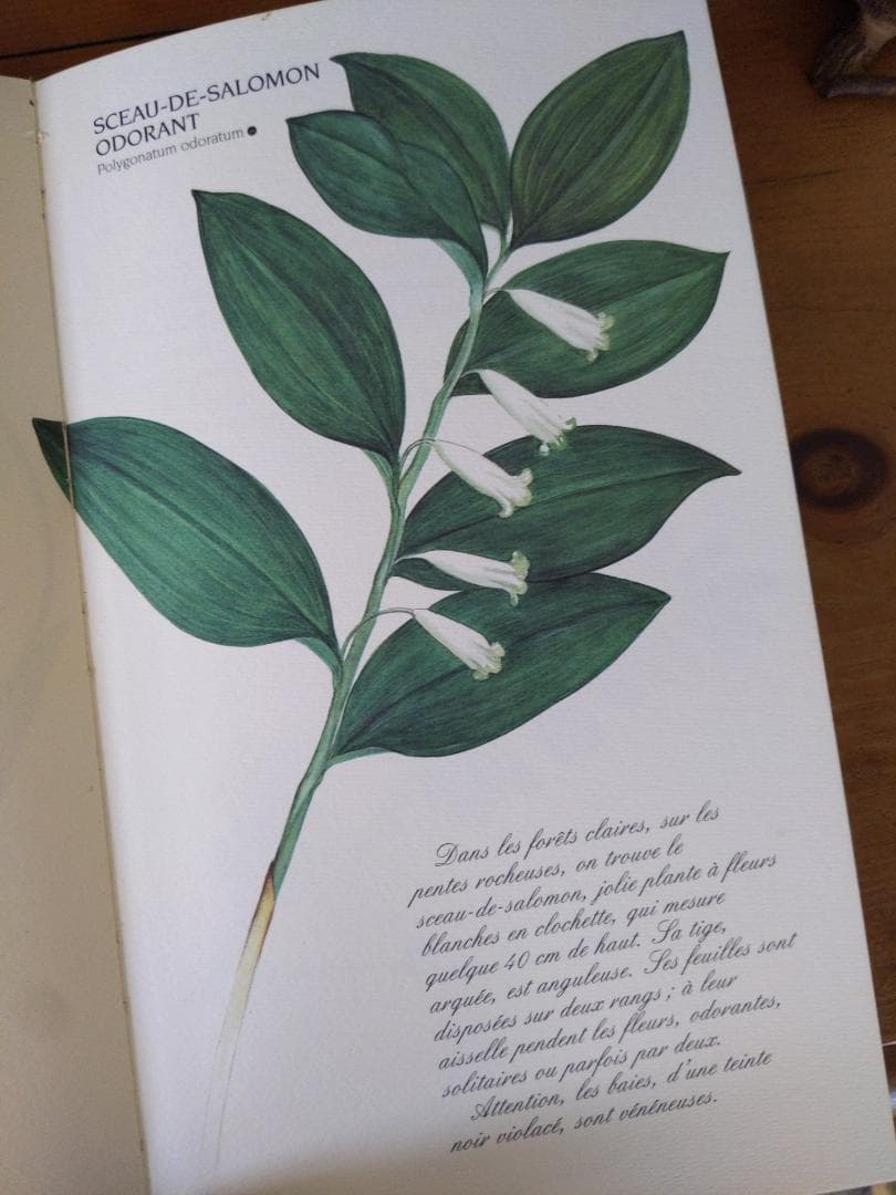 洋書、フランス、ナタン社植物図鑑