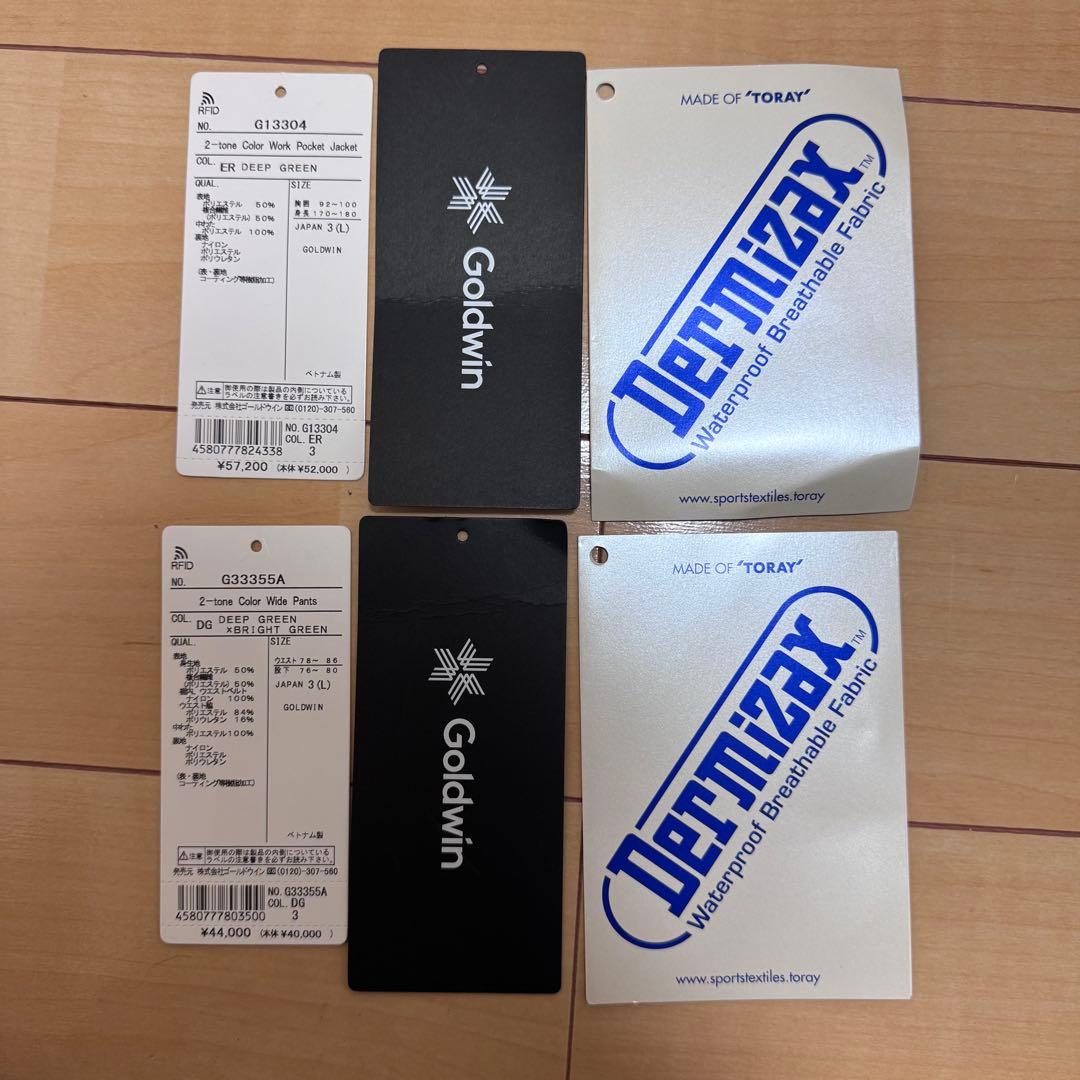 ゴールドウィン　Goldwin Lサイズ（3番）スキーウェア