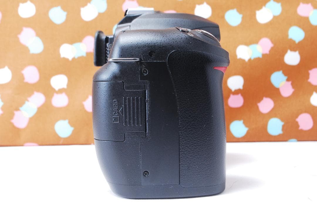 ✨超豪華新品級✨ショット数1748回✨Nikon D50 ダブルレンズセット