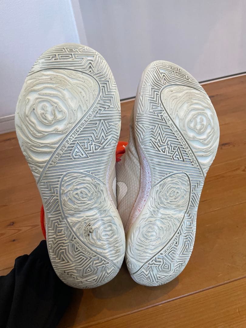 NIKE ズームフリーク1 by you