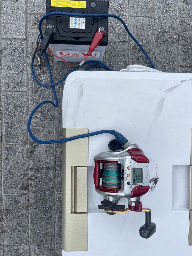 【ピンクの猫】