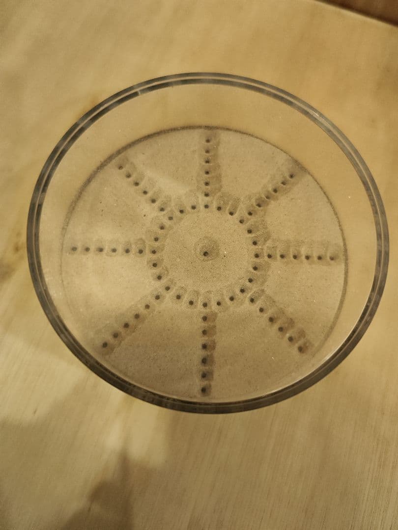 廃盤　naef社　ネフ社　サハラ