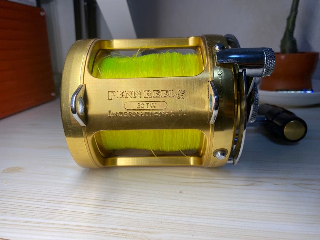 PENN REELS 30 TW INTERNATIONAL ll 両軸リール