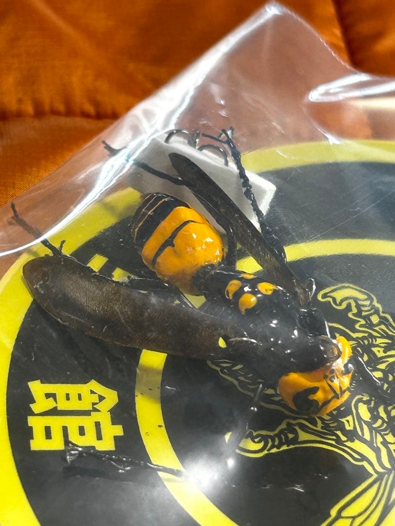 ★希少※入手難‼️オータニ昆虫館※リアルスズメバチ★