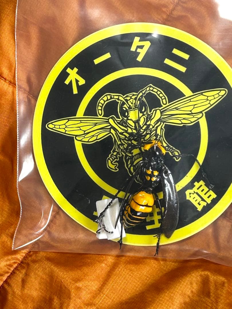 ★希少※入手難‼️オータニ昆虫館※リアルスズメバチ★