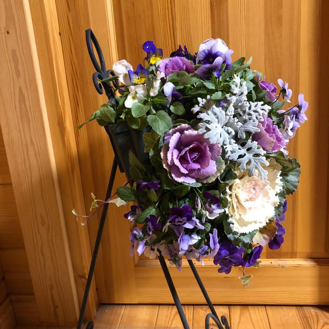 葉牡丹の寄せ植え ハンギングバスケット - メルカリ