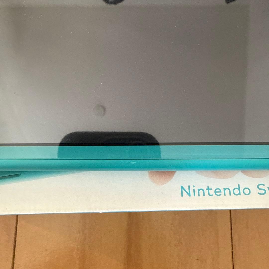 Nintendo Switch Lite 任天堂 スイッチ ライト