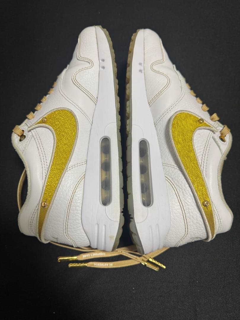 Nike Air Max golf × eastside golf 27.5cm