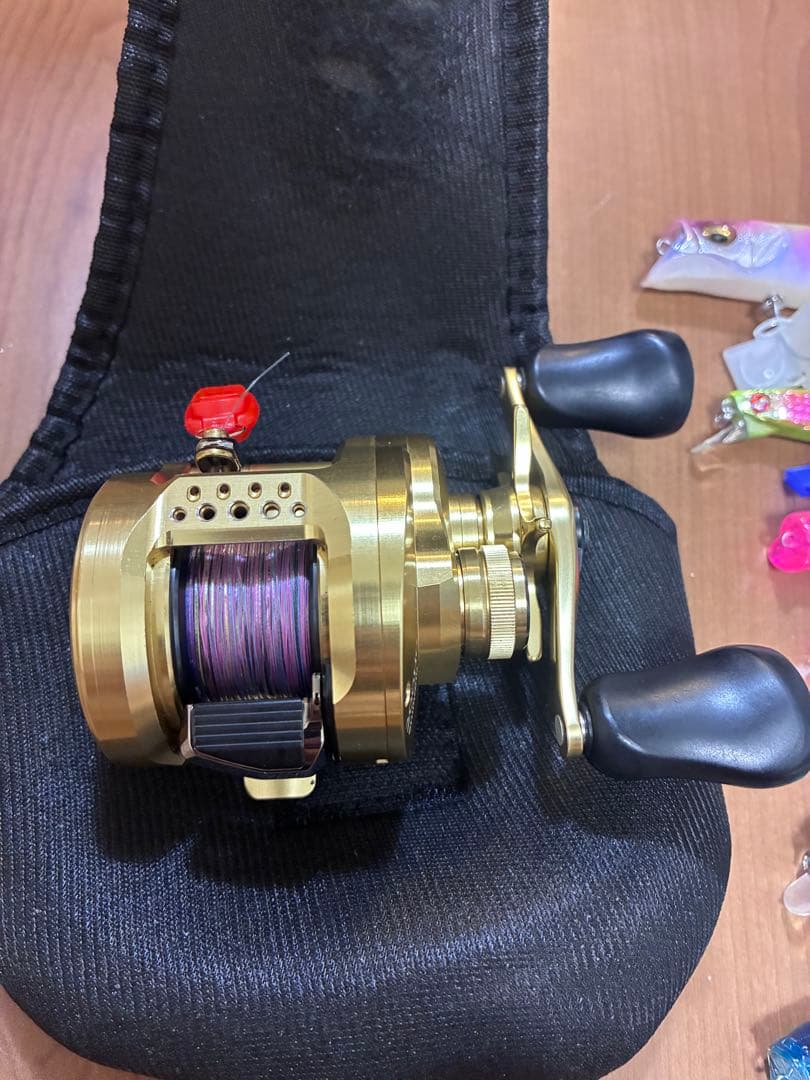 21カルコン200hg シーバスルアー