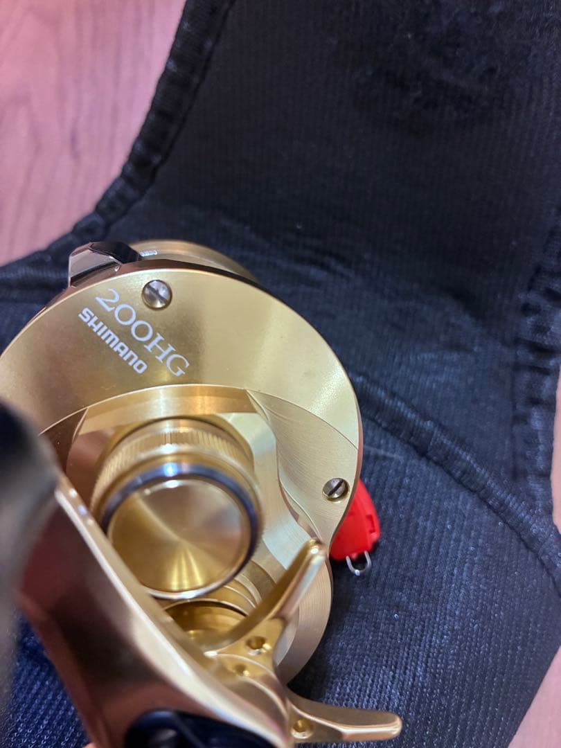 21カルコン200hg シーバスルアー