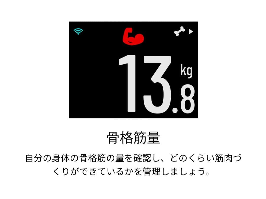 GARMIN Index S2 [PC・スマホ管理機能あり]