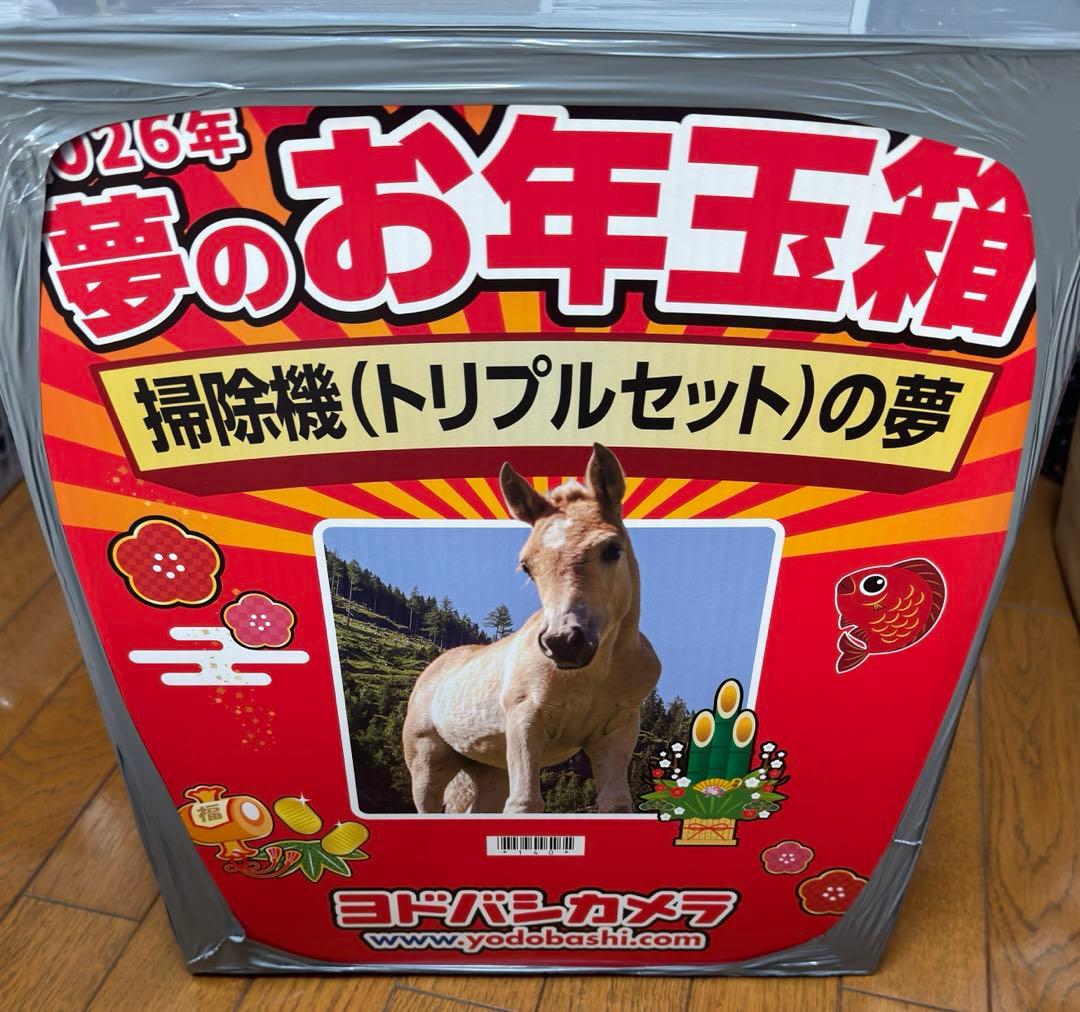 【連休値下げ】ヨドバシカメラ 2026夢のお年玉箱　掃除機（トリプルセット）福袋