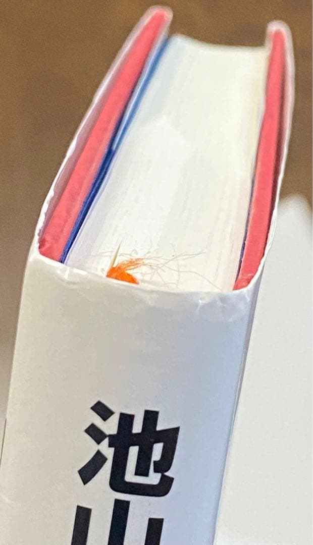 東京ヤクルトスワローズ #1 池山隆寛選手 現監督 自叙伝書籍 直筆