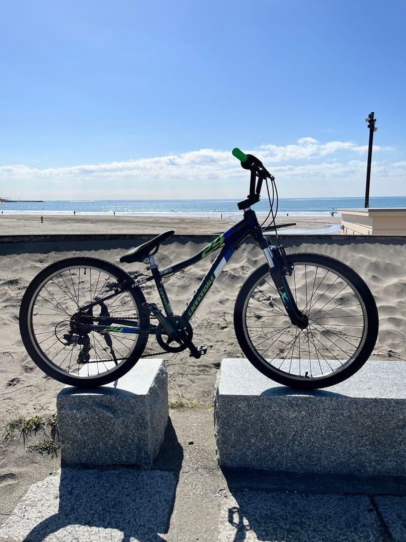 キャノンデール２４インチBMX TYPE新品サドル新品グリップ新品バンドルポスト