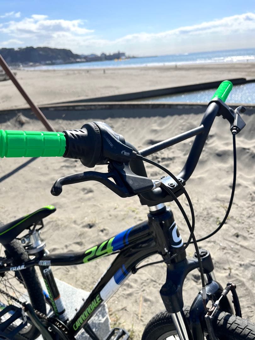 キャノンデール２４インチBMX TYPE新品サドル新品グリップ新品バンドルポスト