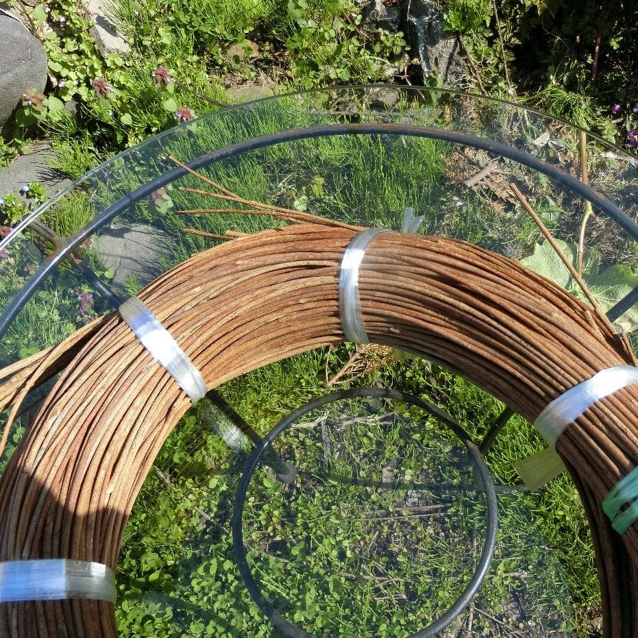 青森岩木山採取　あけび蔓　150cm～ 1.5kg