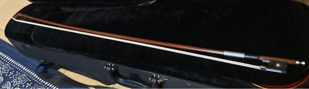 10/13までの価格！カルロジョルダーノバイオリンVS-14/4サイズ