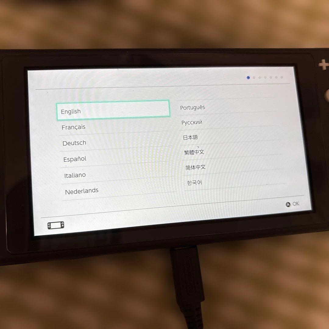 Nintendo Switch Lite グレー　一部難あり　その2