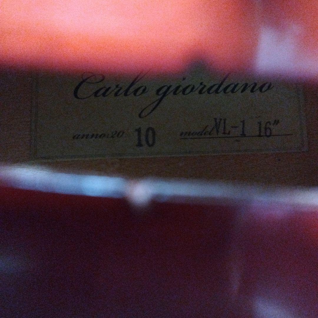 carlo giordano　カルロジョルダーノ　ビオラ　ヴィオラ　VL-1