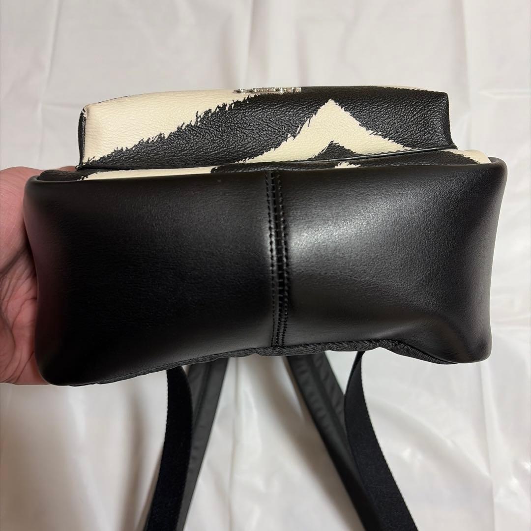 【美品】　COACH コーチ　リュック　バックパック　ゼブラ柄　F39033