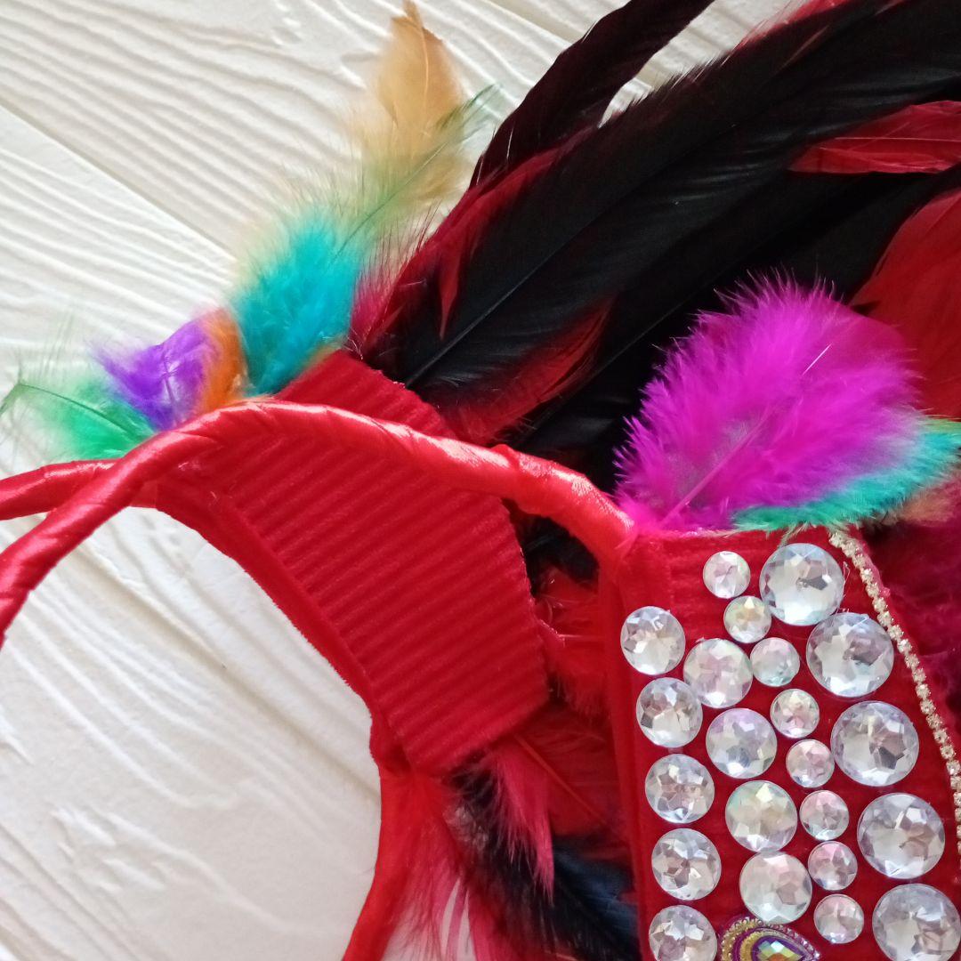 サンバ衣装 サンバ 赤　コステロとカベッサ