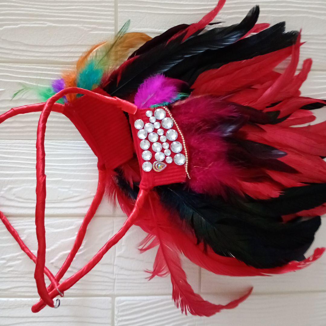 サンバ衣装 サンバ 赤　コステロとカベッサ