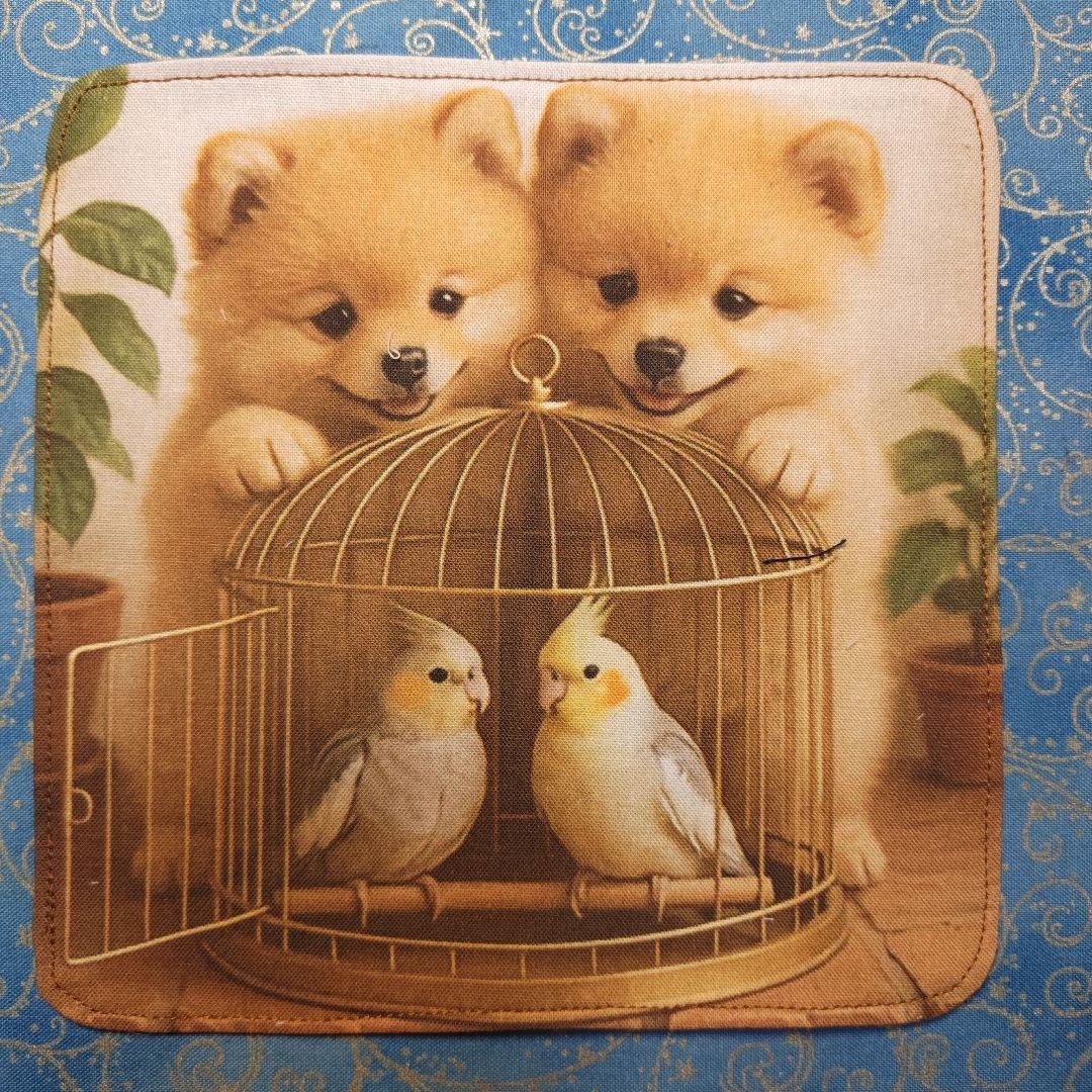 もも＆まりん　ハンカチ　シマエナガ柄　23枚