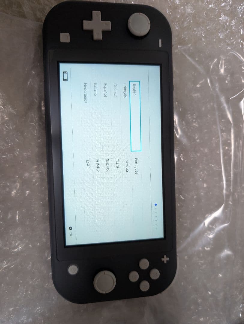 Nintendo Switch Lite グレー 本体 箱あり　モンハンライズ付