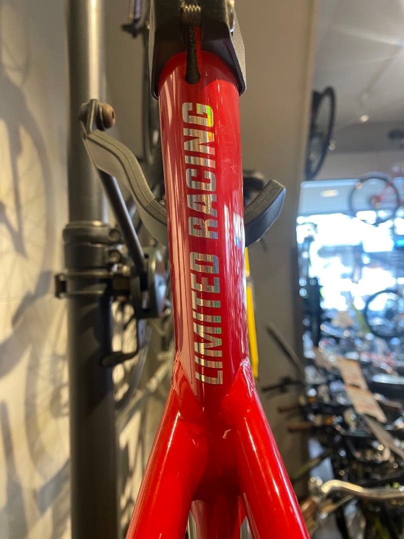 新品 Cinelli チネリ VIGORELLI SHARK　Mサイズ