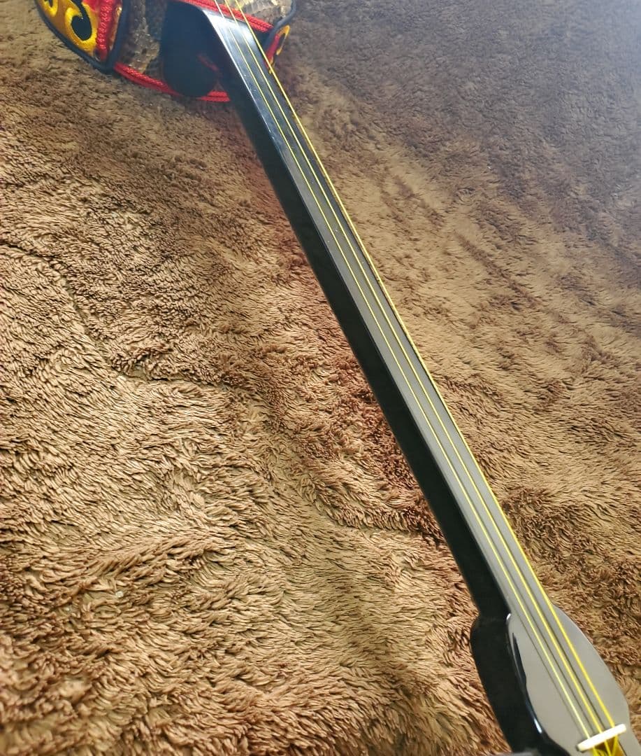 三線 蛇皮 強化張り 真壁型 オーストリッチハードケース 鍵付 黒塗り 沖縄