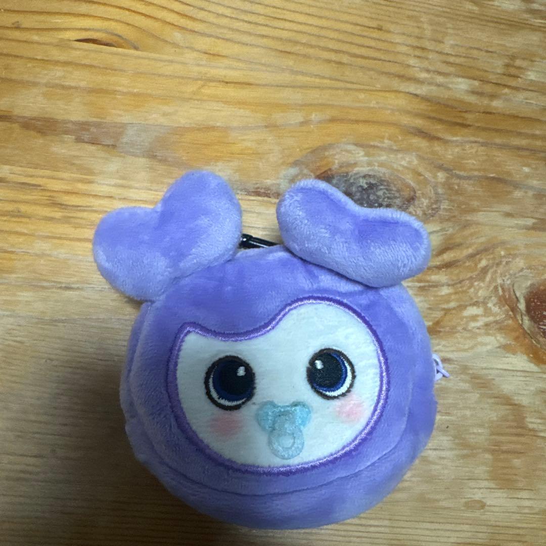 TWICE サナ サブリー イヤフォンケース イヤホンケース