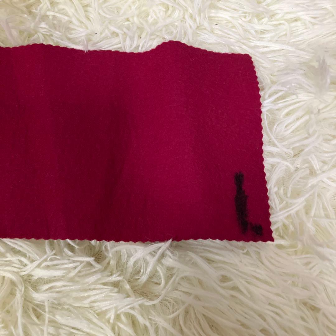 高級大正琴 ライリッシュ LSS25TH Lyrissh ソフトケース 和楽器