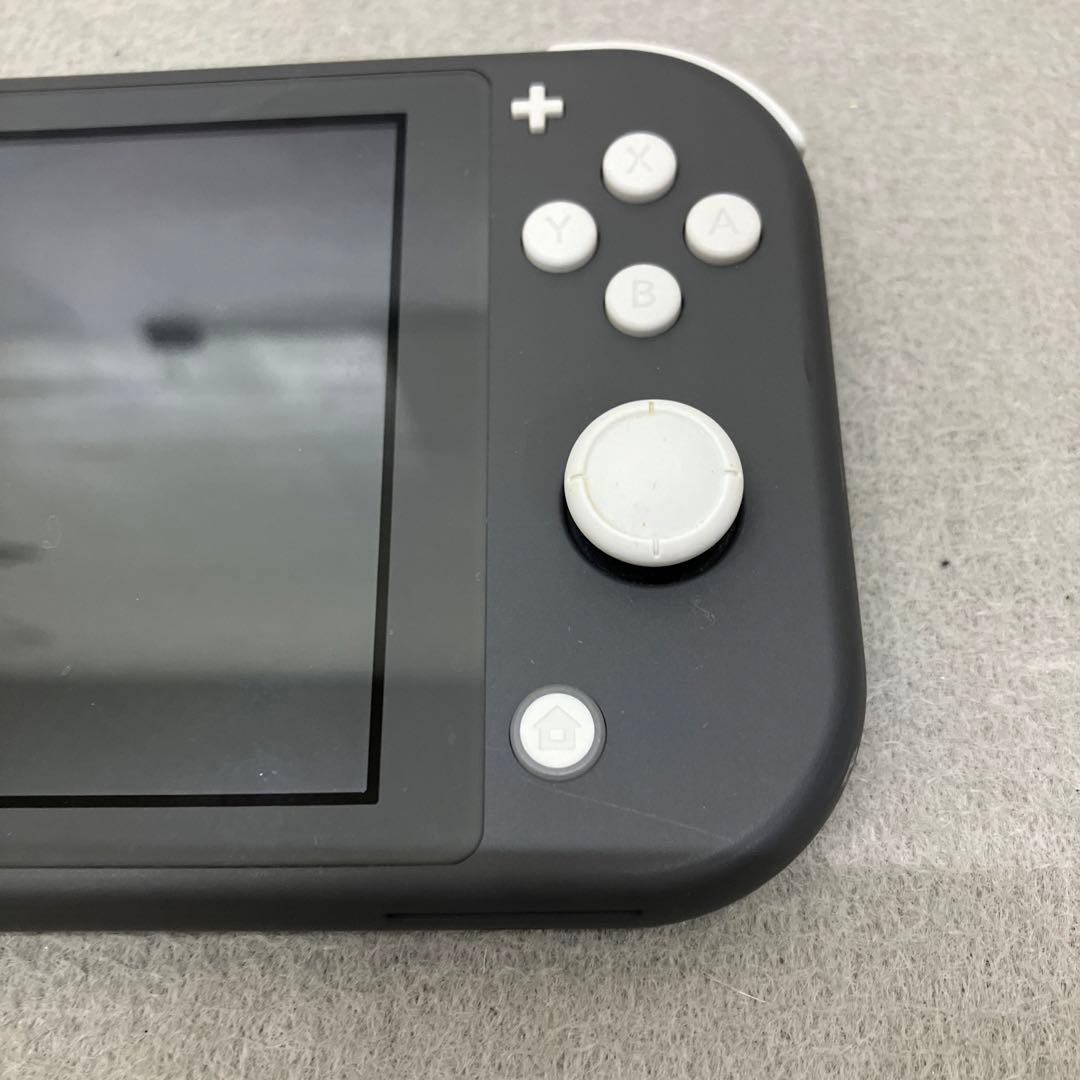 GD6119 Nintendo Switch Lite グレー