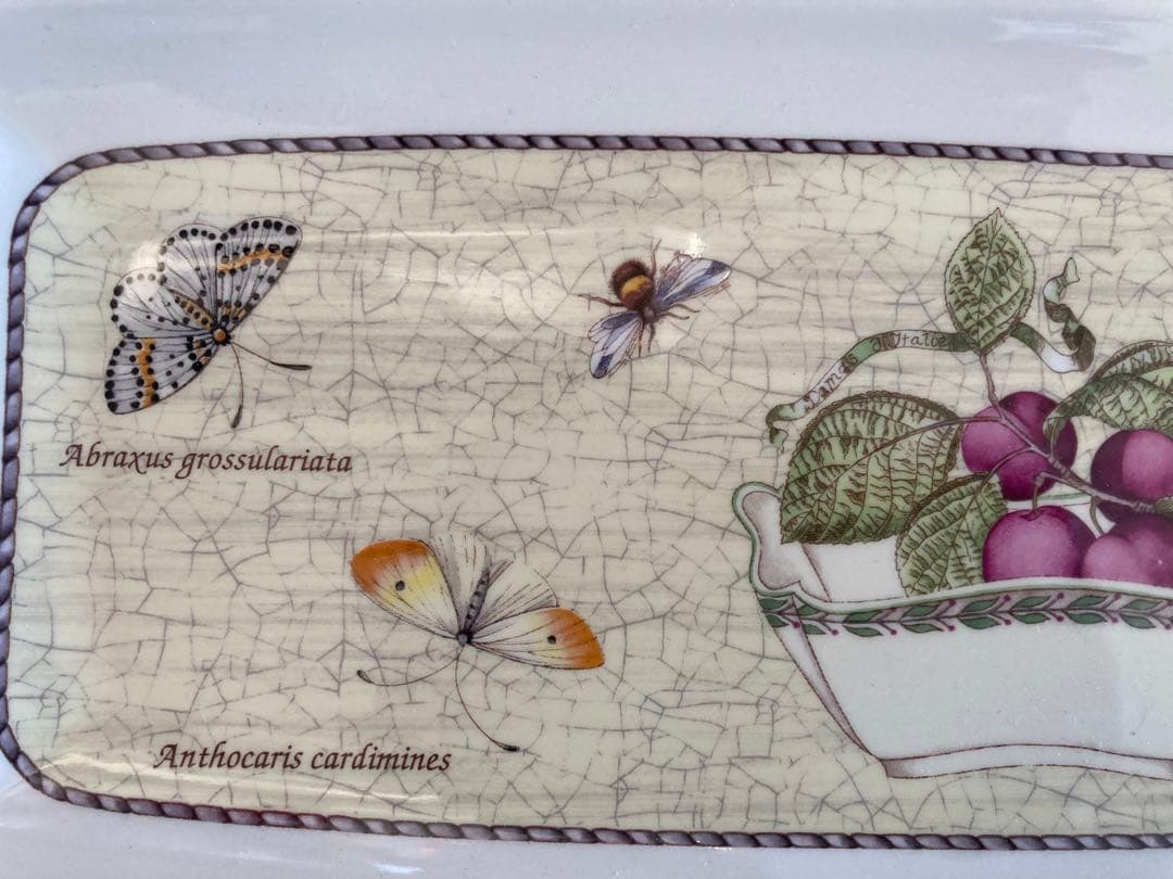 SARAH'S GARDEN 長皿&ケーキ皿 デザート皿フルーツ皿5枚セット