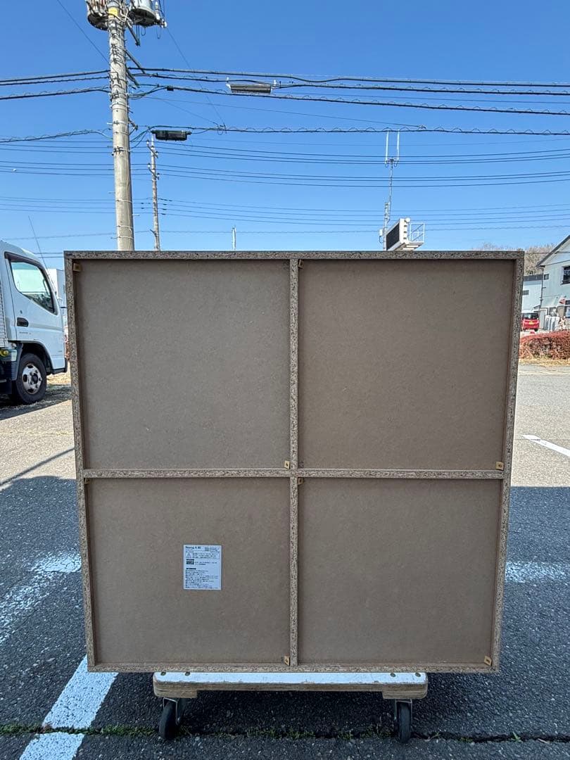 ロウヤ LOWYA 扉付き ディスプレイラック ネスログ A 90