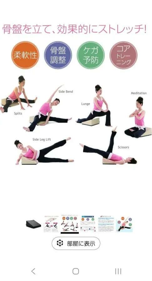 【即購入OK】サンテプラス フレックスクッション