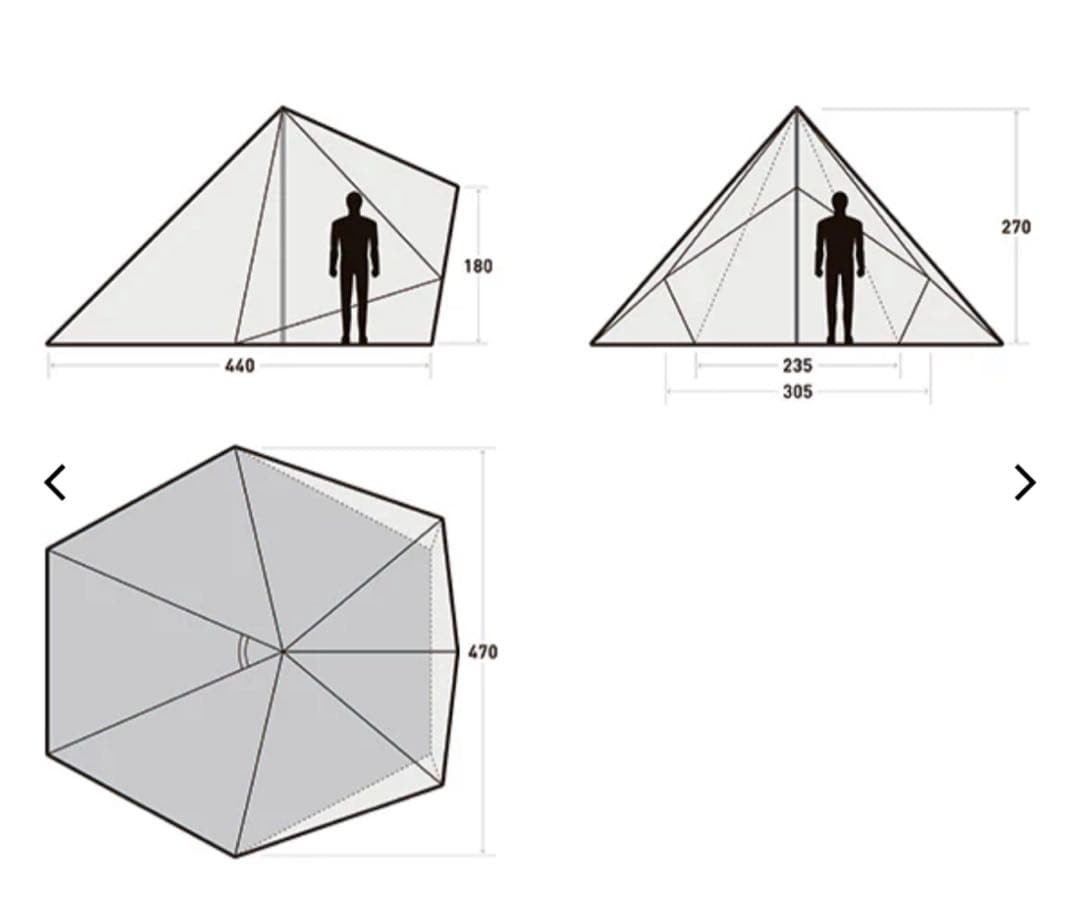 【最終価格】サバティカル モーニンググローリー TC